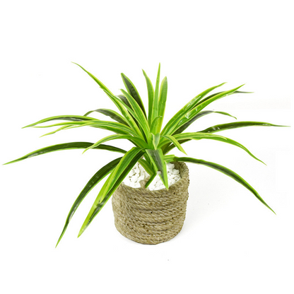 Artificial Grass Plant – Decorative Artificial Plant for Home and Office
