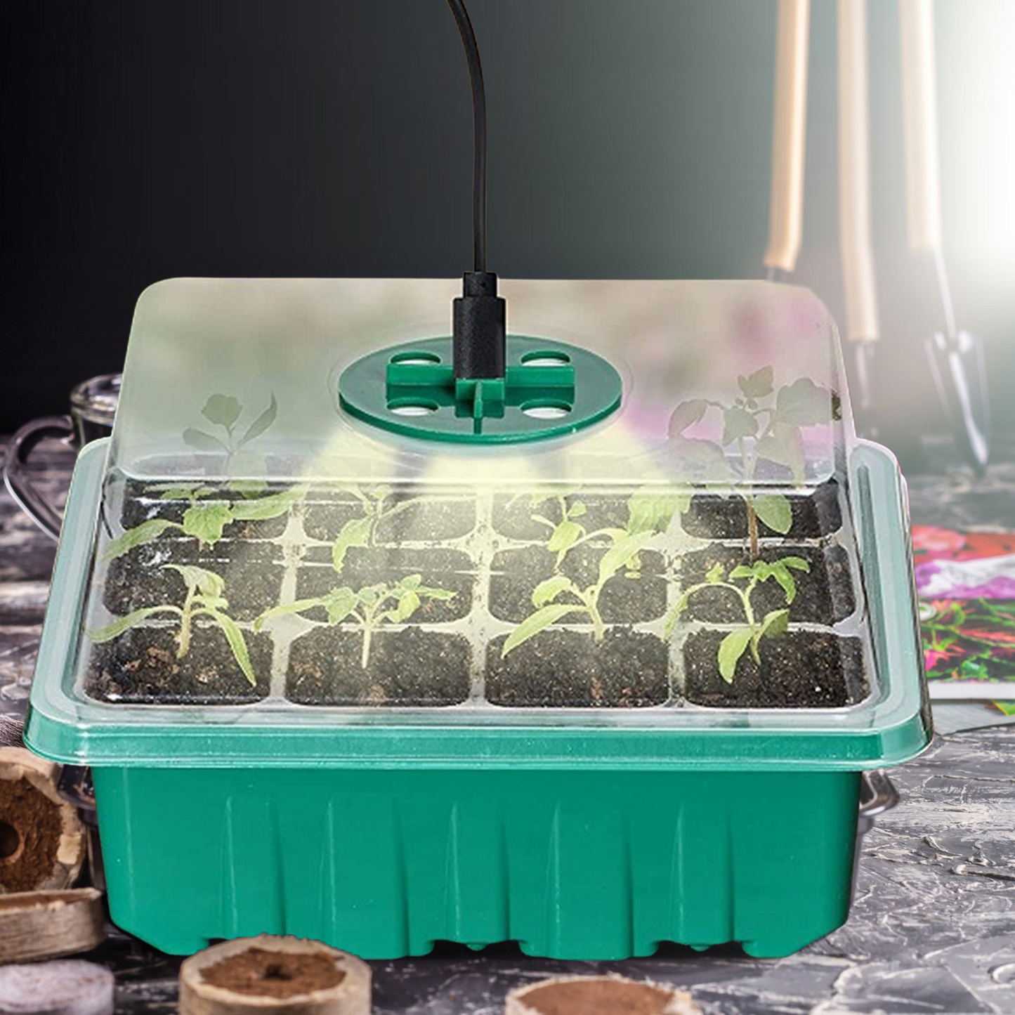 Complete Seed Starter Kit with LED Light – Perfect for Successful Plant Growth and Germination