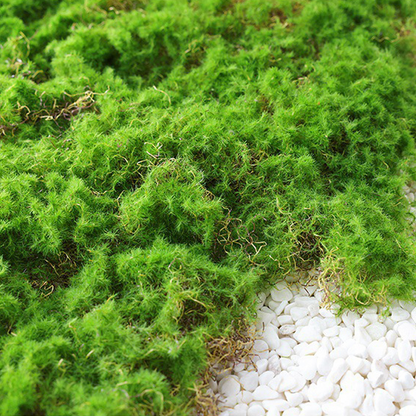 Moss Cover Piece – Moss Flake Ornament for Decorative Landscaping and Garden Decoration