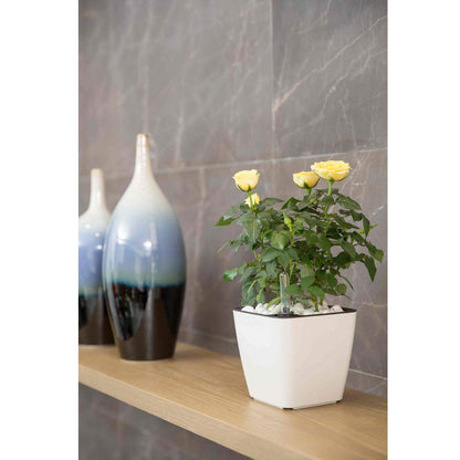 Self-watering Flower Pot – Plant Pot With Watering System For Indoor and Outdoor Use