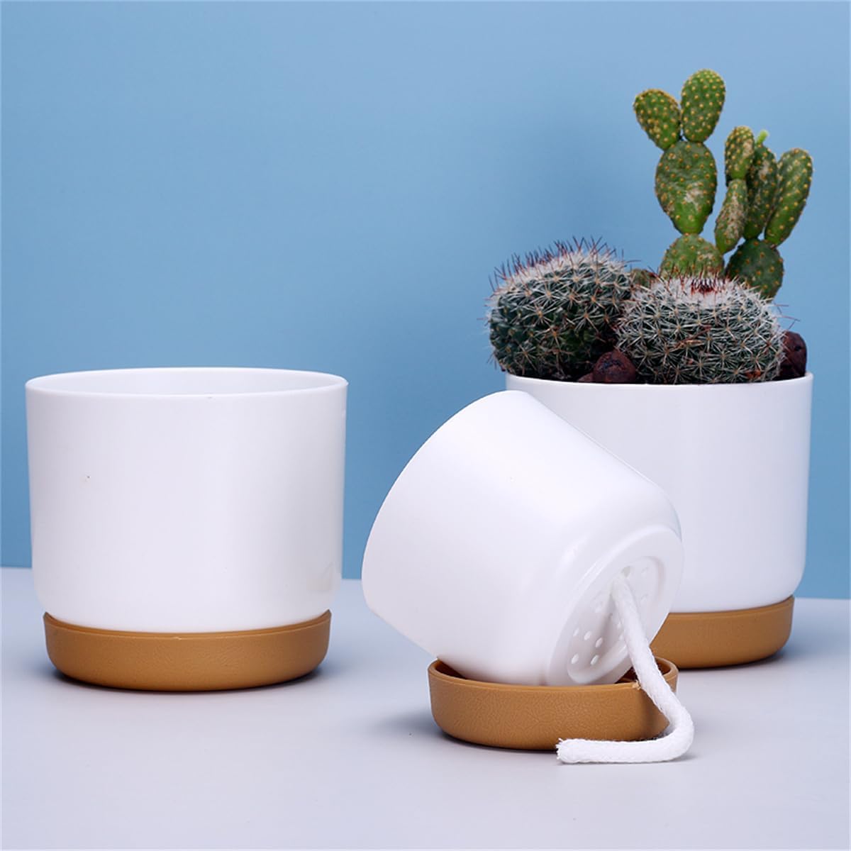 Self-Watering Orchid Planter Pot – Plastic Flower Pot with Watering System for Plant Care