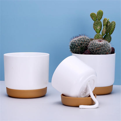 Self-Watering Orchid Planter Pot – Plastic Flower Pot with Watering System for Plant Care