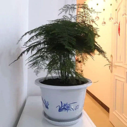 Elegant Plastic Flower Pot with Bamboo Design – Ideal for Garden and Balcony Plants