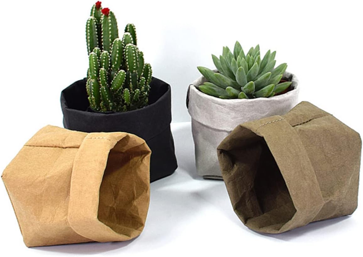 Stylish Paper Plant Pots – Modern Decorative Vases for Plants and Floral Arrangements