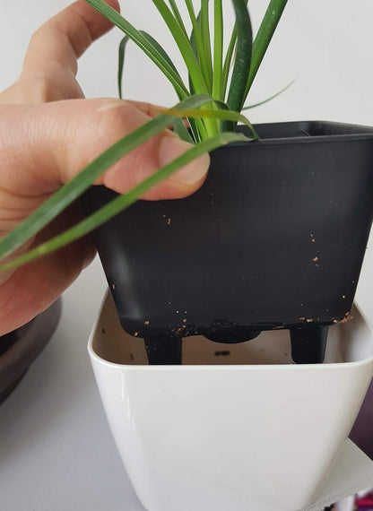 Self-watering Flower Pot – Plant Pot With Watering System For Indoor and Outdoor Use