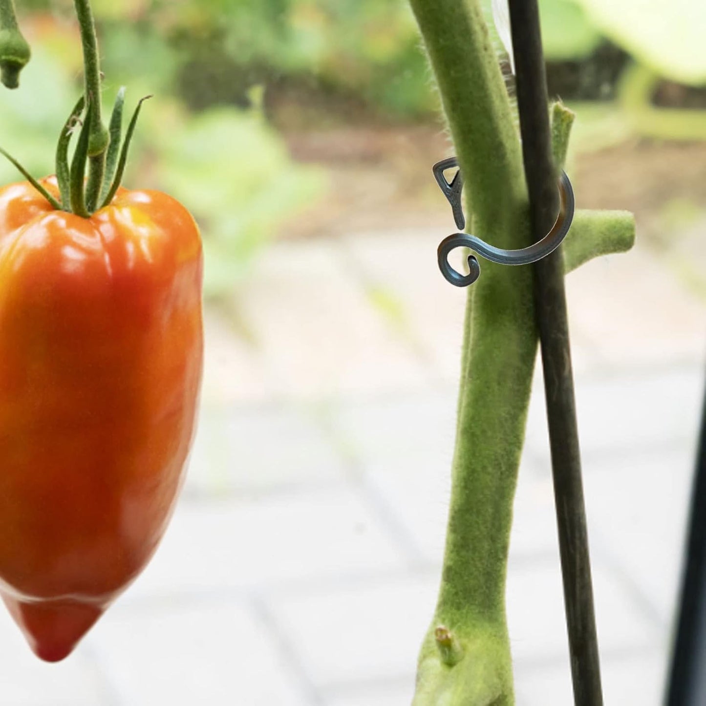 Cat-Shaped Plant Support Clip – Cute Plant Holder for Garden and Houseplants