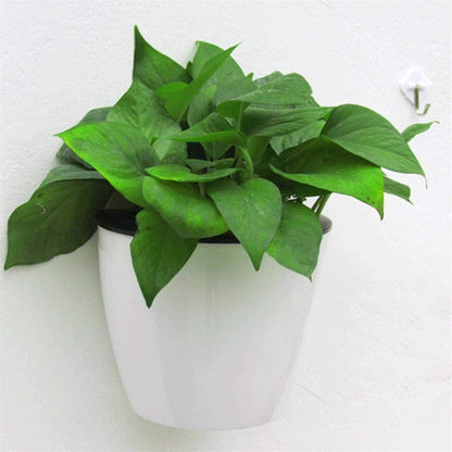 Self-Watering Hanging Planter – Modern Flower Pot for Wall Mounting for Efficient Plant Care