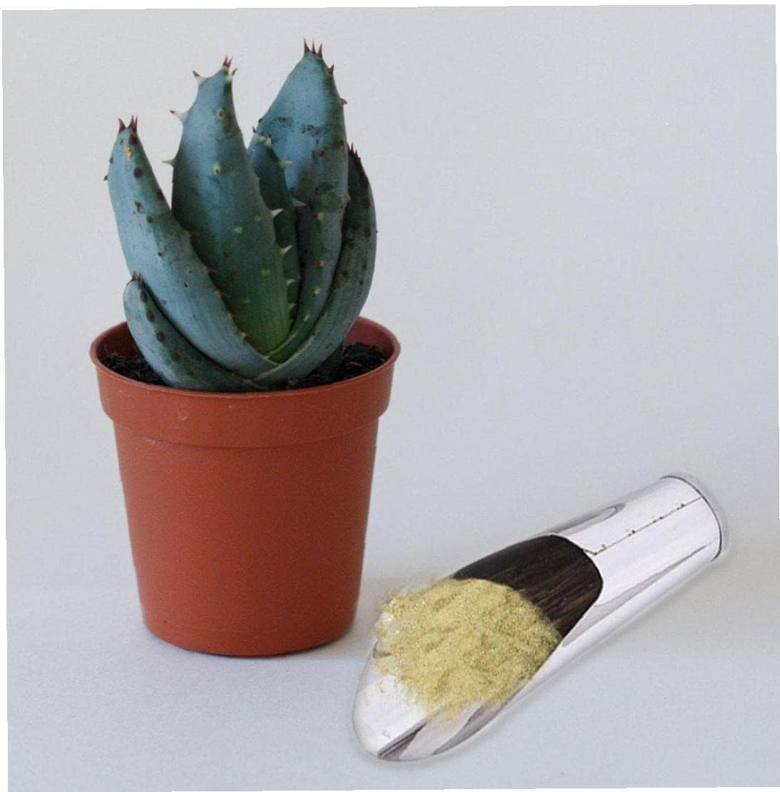 Durable Stainless Steel Garden Trowel – High-Quality Scoop for Potting Soil in the Garden and on the Balcony
