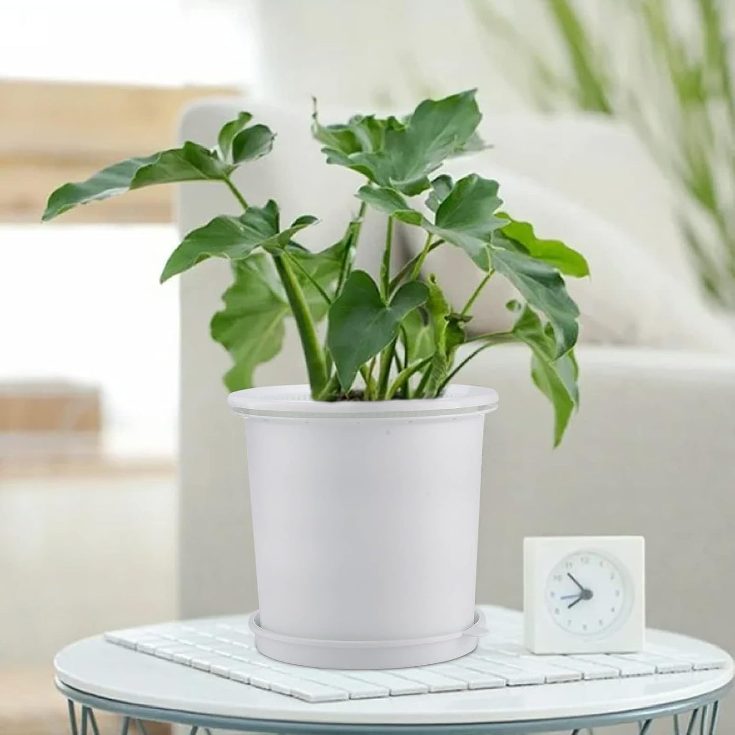 Breathable Root Control Pot for Plants – Perfect Ventilation for Healthy Growth and Optimal Root Development