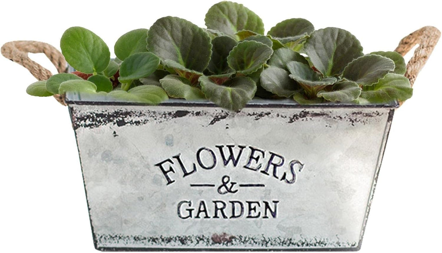 Decorative Metal Planter with Hemp Rope Handles – Durable Garden Container for Plants and Flowers