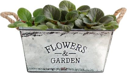 Decorative Metal Planter with Hemp Rope Handles – Durable Garden Container for Plants and Flowers