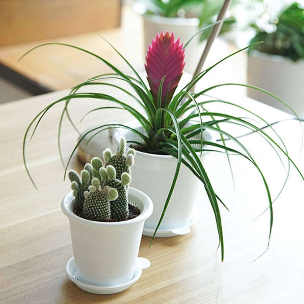 Breathable Root Control Pot for Plants – Perfect Ventilation for Healthy Growth and Optimal Root Development