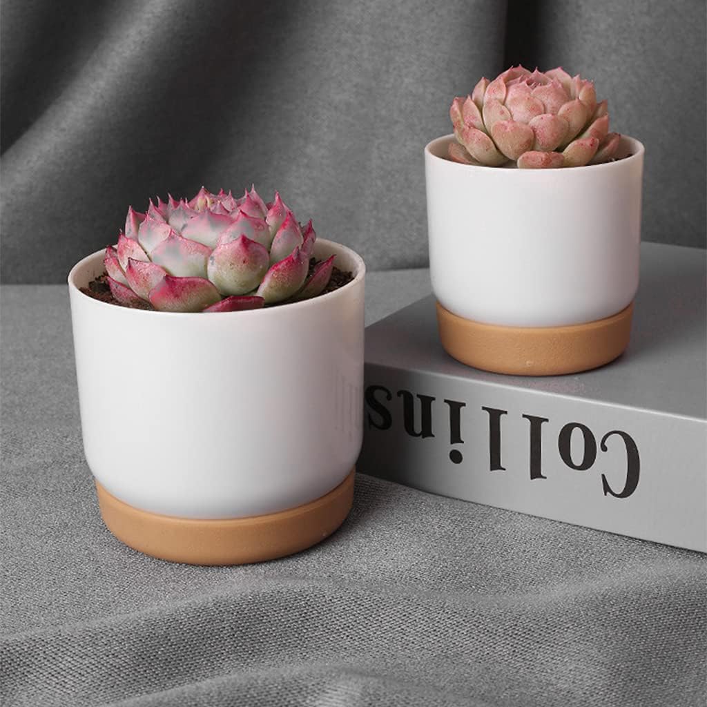 Self-Watering Orchid Planter Pot – Plastic Flower Pot with Watering System for Plant Care