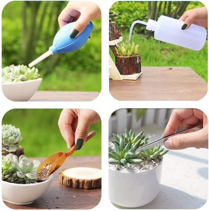 Succulent Garden Tool Set with Spray Bottle and Accessories – Complete Set for Caring for Succulents and Cacti