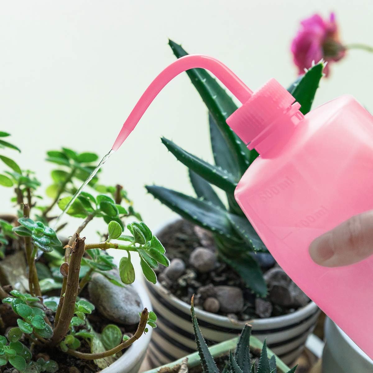 Spot 500ml Squeeze Watering Bottle – Precise Dosing and Watering for Plant Care and Gardening