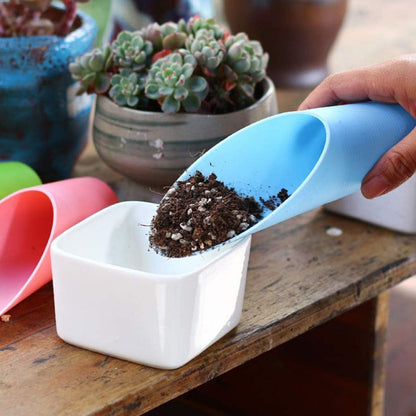 Succulent Garden Tool Set with Spray Bottle and Accessories – Complete Set for Caring for Succulents and Cacti