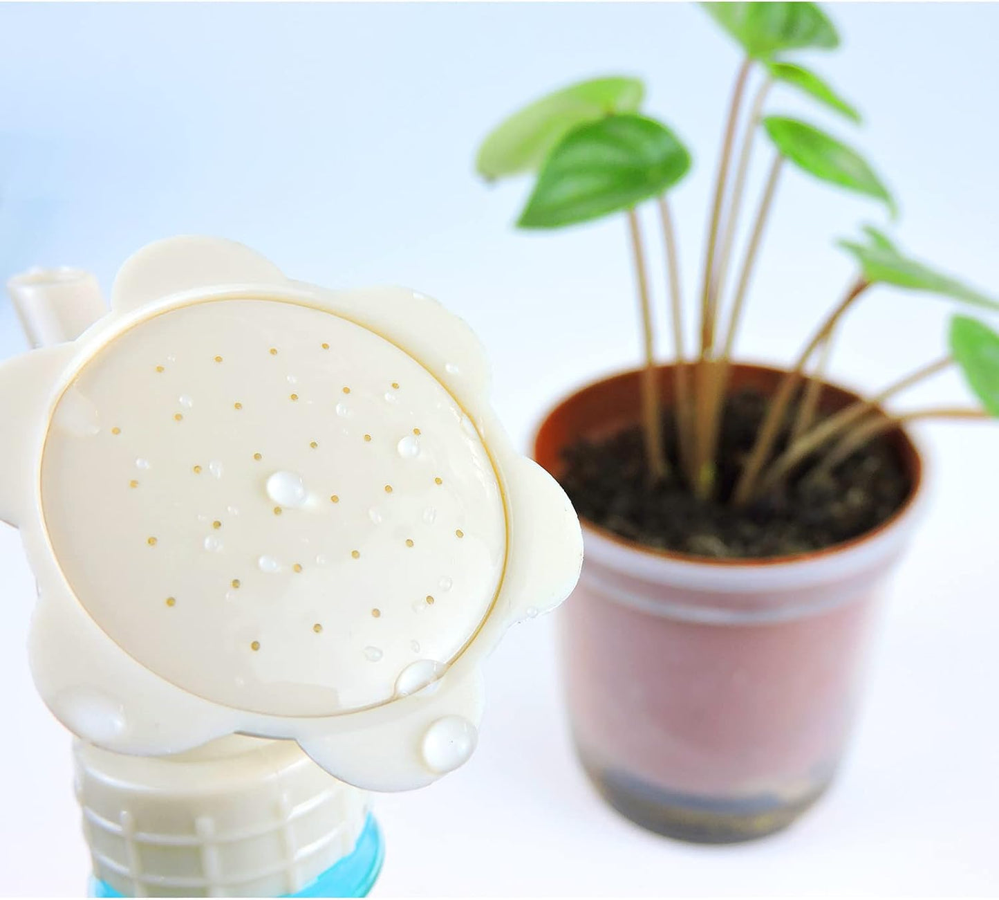 Flower-Shaped Plant Mister – Decorative Fine Mist Sprayer for Garden Plant Watering