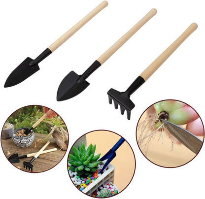 Succulent Garden Tool Set with Spray Bottle and Accessories – Complete Set for Caring for Succulents and Cacti