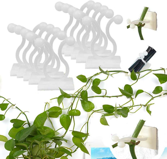 Practical Climbing Plant Wall Clips – Plant Holders for Wall Decoration and Vertical Gardening
