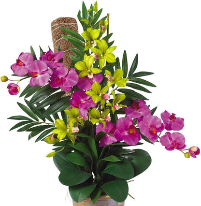 Coconut Moss Support Pole for Climbing Plants – Natural Support for Indoor and Garden Plants