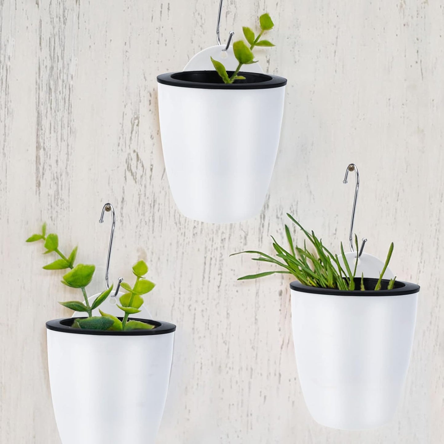 Self-Watering Hanging Planter – Modern Flower Pot for Wall Mounting for Efficient Plant Care