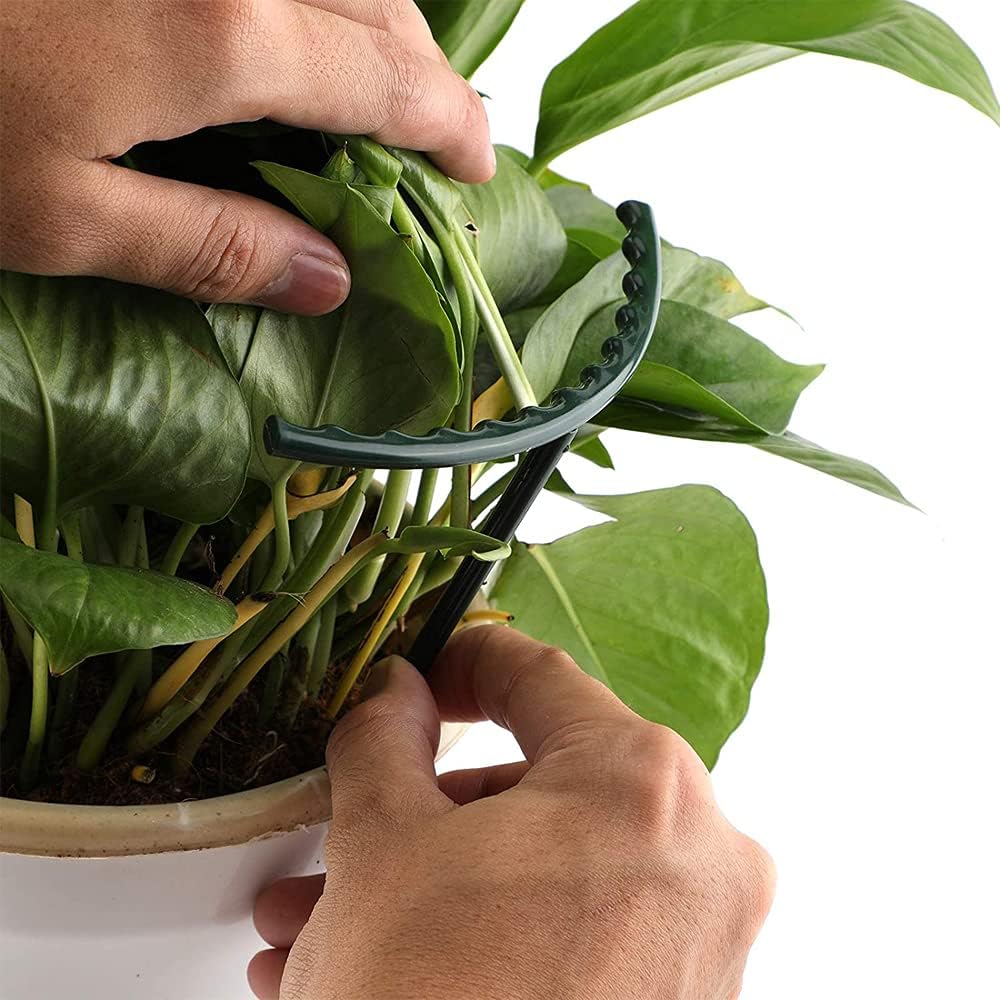 Sturdy Plant Climbing Support – Cage-Design Holder for Growth and Stability