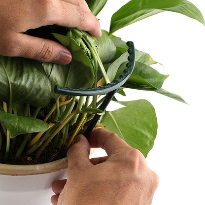 Sturdy Plant Climbing Support – Cage-Design Holder for Growth and Stability