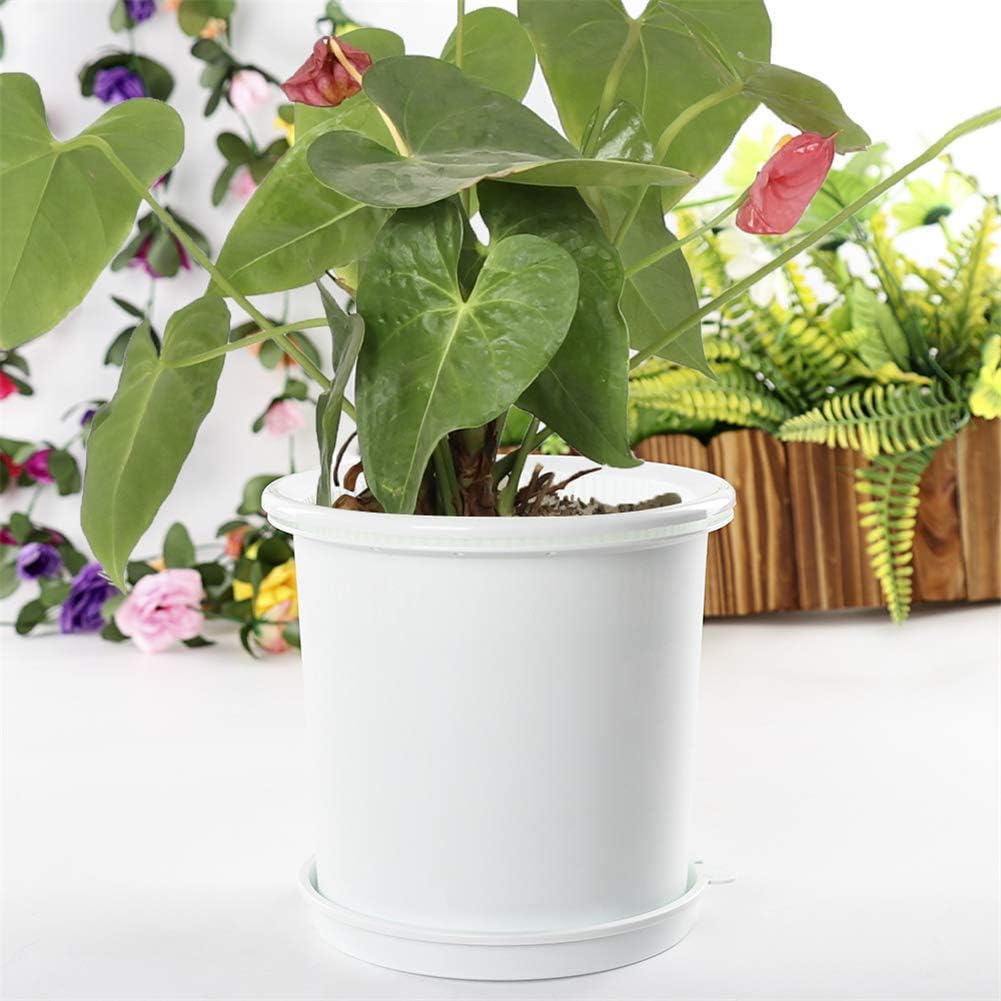 Breathable Root Control Pot for Plants – Perfect Ventilation for Healthy Growth and Optimal Root Development