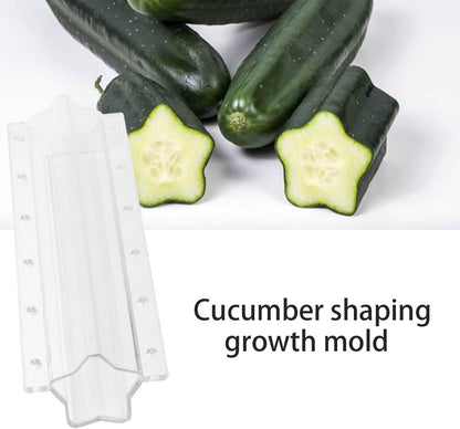 Star-Shaped Vegetable Mold for Cucumbers – Creative Shaping Mold for Fruits and Vegetables in the Garden