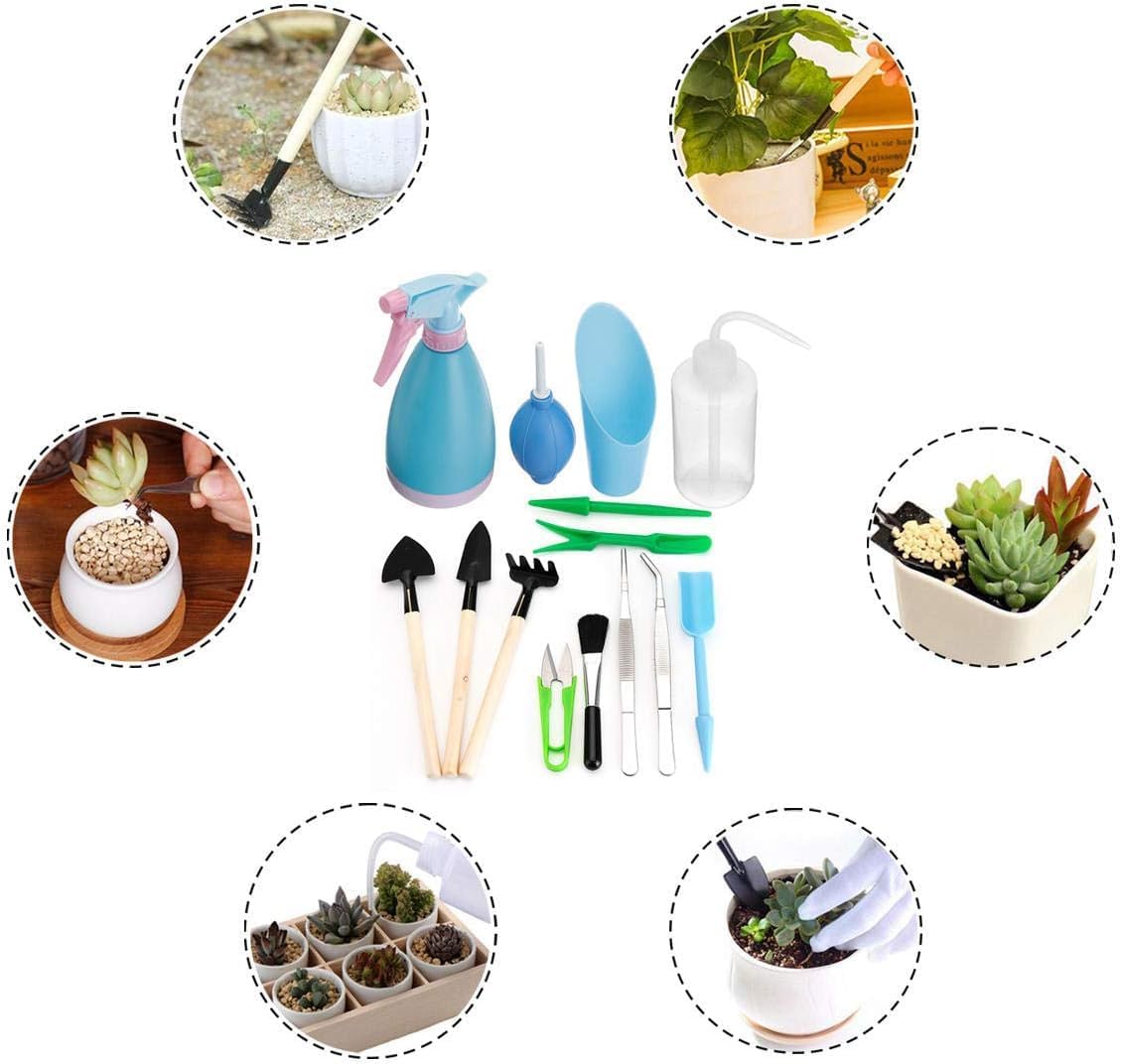 Succulent Garden Tool Set with Spray Bottle and Accessories – Complete Set for Caring for Succulents and Cacti