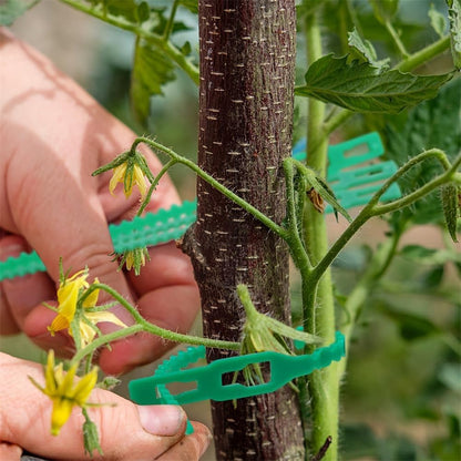 Plant Support Cable Tie Set – Durable Plant Ties for Secure Fastening and Plant Care