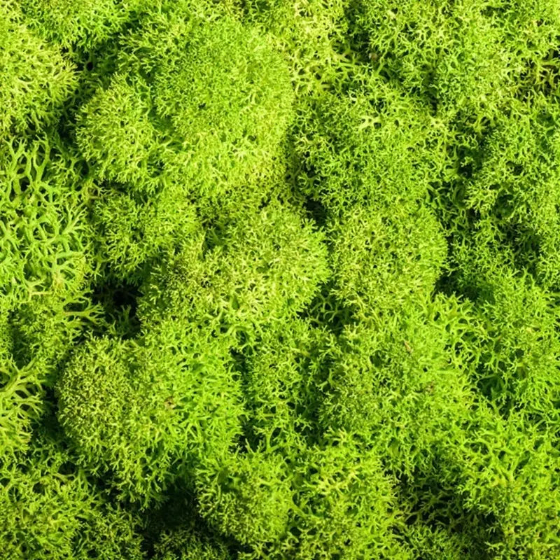 Artificial Moss for Decoration – Moss Mat for Landscaping and Floristry
