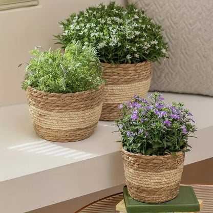 Decorative Seagrass Plant Baskets – 3-Piece Set of Handwoven Planters with Plastic Liner for Home and Garden