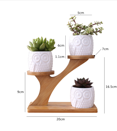 Decorative wooden owl plant stand – planter for succulents and indoor plants