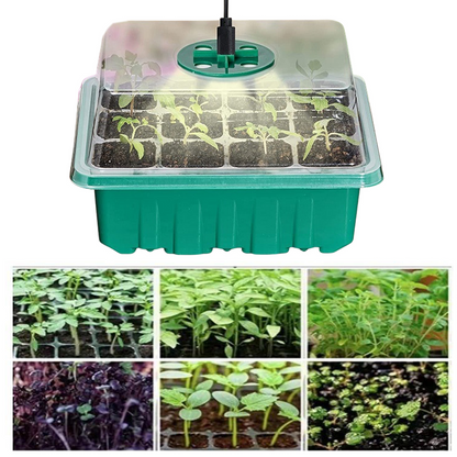 Complete Seed Starter Kit with LED Light – Perfect for Successful Plant Growth and Germination