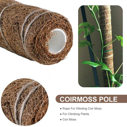 Coconut Moss Support Pole for Climbing Plants – Natural Support for Indoor and Garden Plants