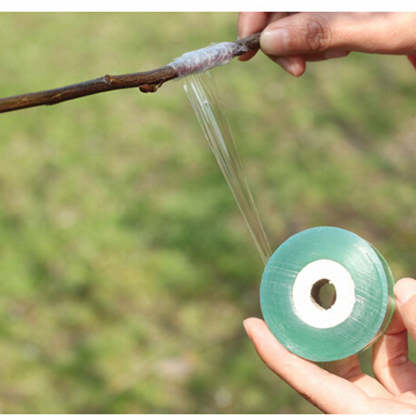 Self-Adhesive Grafting Tape for Plants – Ideal for Pruning and Plant Grafting
