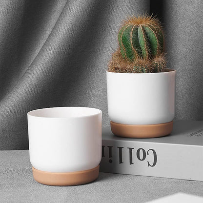 Self-Watering Orchid Planter Pot – Plastic Flower Pot with Watering System for Plant Care