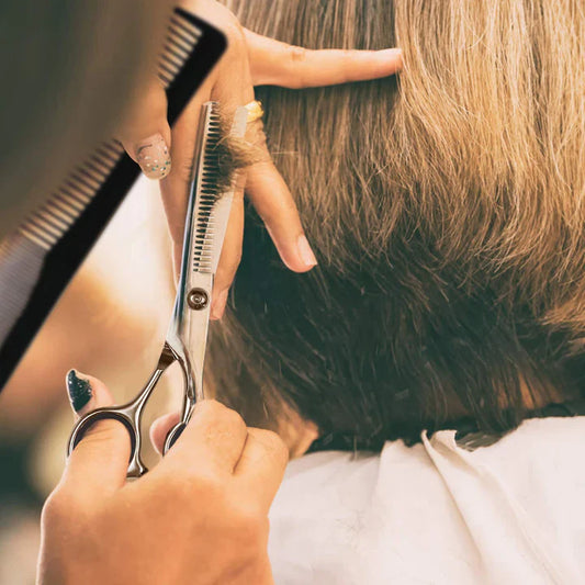 Premium Hair Care Set | Cutting and Thinning Scissors for Professionals