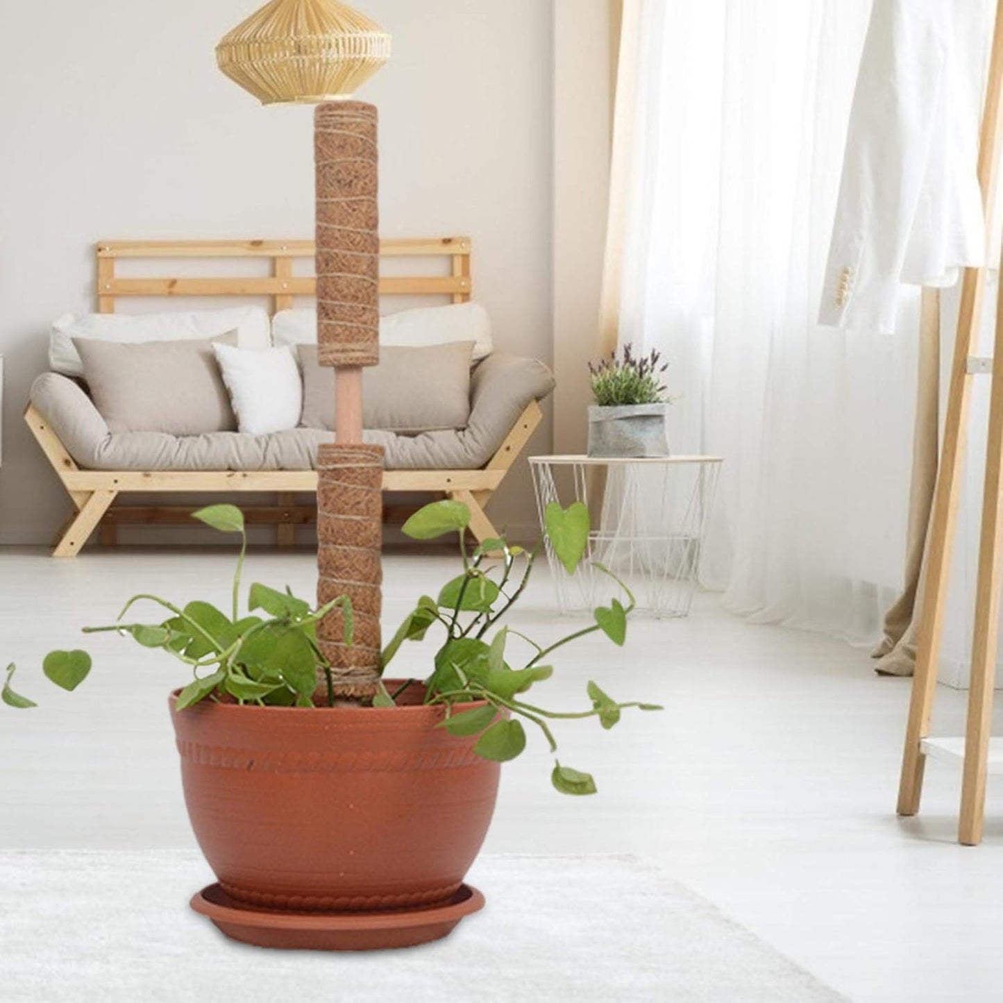 Coconut Moss Support Pole for Climbing Plants – Natural Support for Indoor and Garden Plants