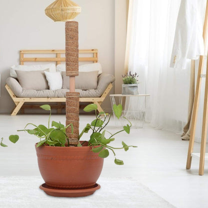 Coconut Moss Support Pole for Climbing Plants – Natural Support for Indoor and Garden Plants