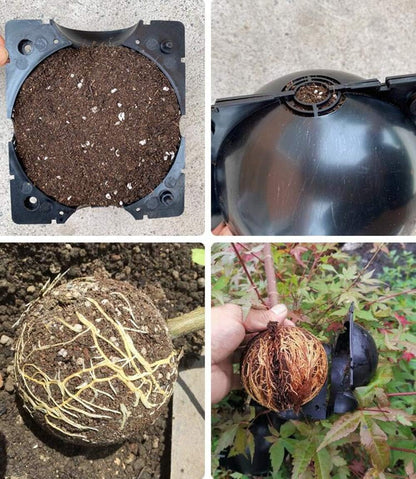 Plant Protection Balls for Roots – Protective Caps for Safe Transplanting and Healthy Growth