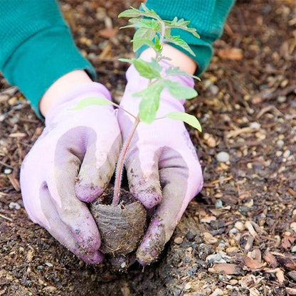 Coconut Fiber Peat Germination Pellets – Seed Planting Starter for Optimal Germination