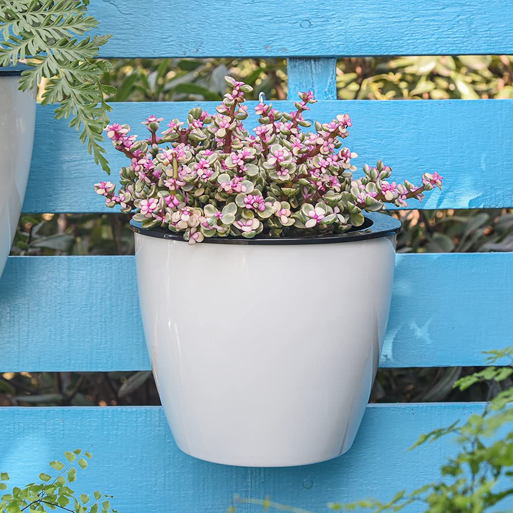 Self-Watering Hanging Planter – Modern Flower Pot for Wall Mounting for Efficient Plant Care