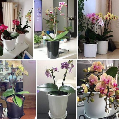Breathable Root Control Pot for Plants – Perfect Ventilation for Healthy Growth and Optimal Root Development