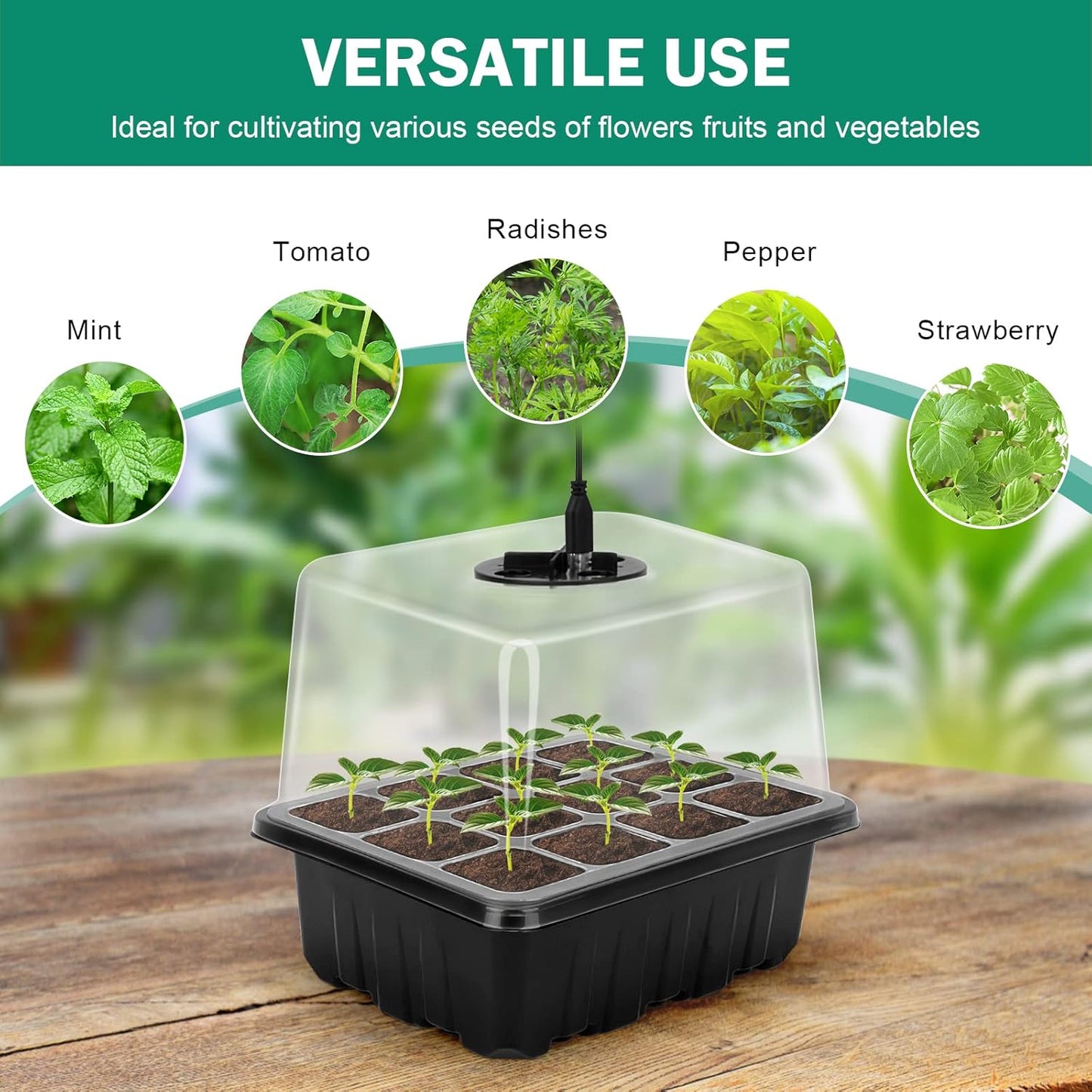 Complete Seed Starter Kit with LED Light – Perfect for Successful Plant Growth and Germination