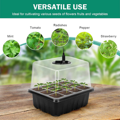 Complete Seed Starter Kit with LED Light – Perfect for Successful Plant Growth and Germination