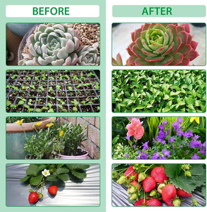 Plant Growth Light with 4 Adjustable Arms and Dimmer Function – LED Grow Light for Indoor Gardens