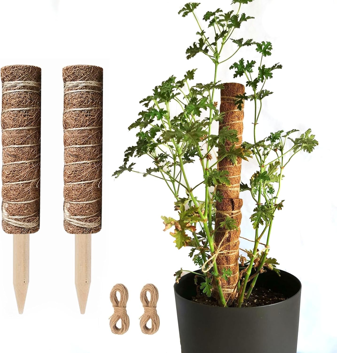 Coconut Moss Support Pole for Climbing Plants – Natural Support for Indoor and Garden Plants