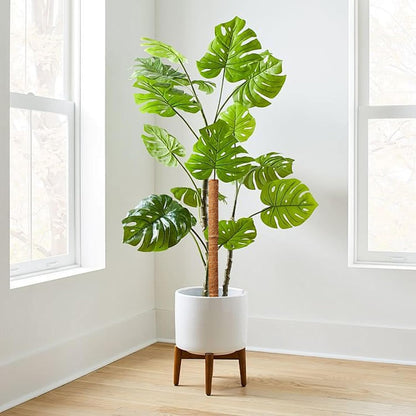 Coconut Moss Support Pole for Climbing Plants – Natural Support for Indoor and Garden Plants